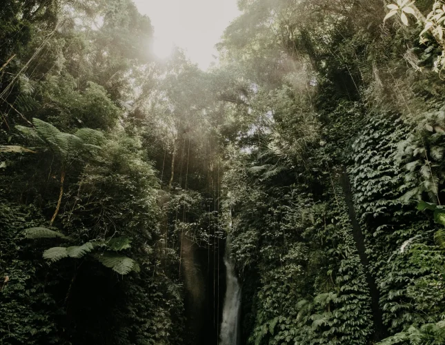 pexels-alesiakozik-5993139 (1)